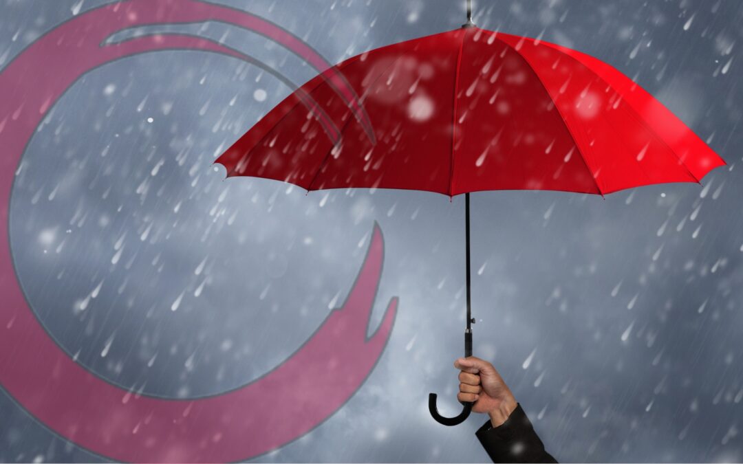 What is an Umbrella Company and Which One Should I Choose?